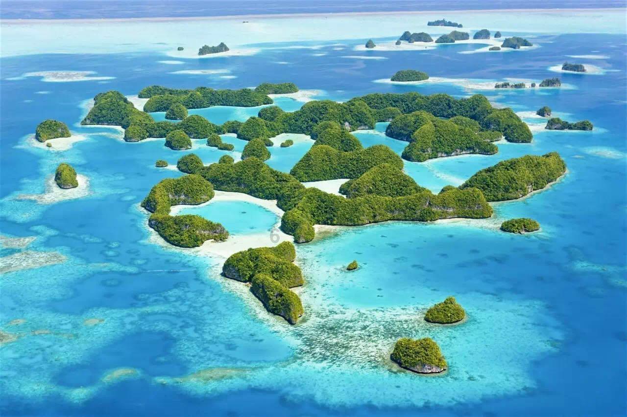 真正的陈皮是用哪种桔子皮